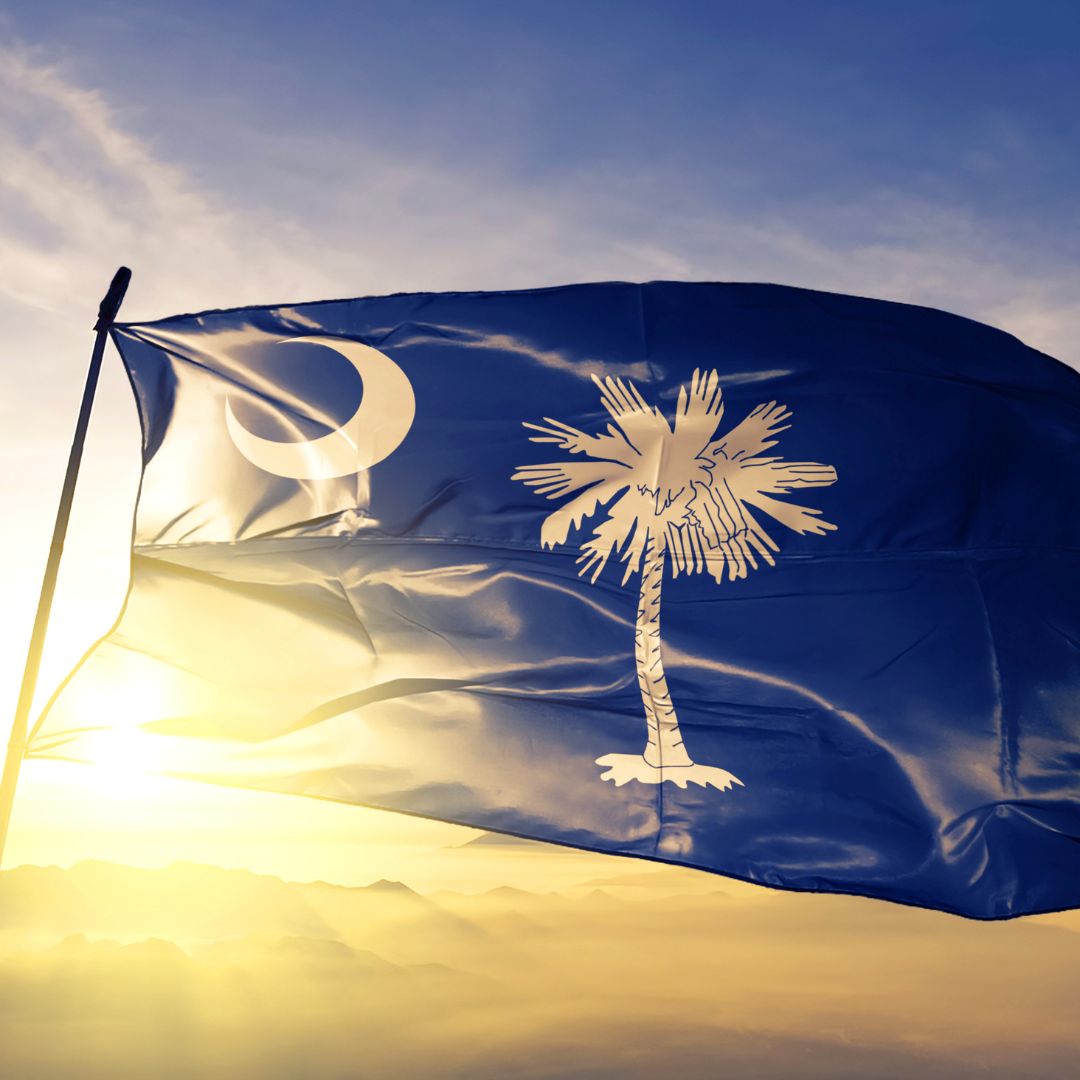 Palmetto Flag